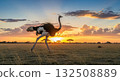 Ostrich Running at Sunset on the Savannah - Ai Generated 132508889