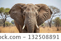 Majestic Elephant in the Savanna - Ai Generated 132508891