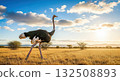 Ostrich in Sunlit Savannah Landscape - Ai Generated 132508893