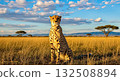 Cheetah in Golden Grassland Under Blue Sky - Ai Generated 132508894