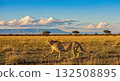 Cheetah Running in the Savannah - Ai Generated 132508895