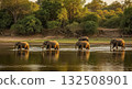 Elephants Walking Through Water at Sunset - Ai Generated 132508901