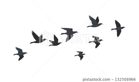 Flying birds silhouette in formation vector illustration in black color simple design 132508966