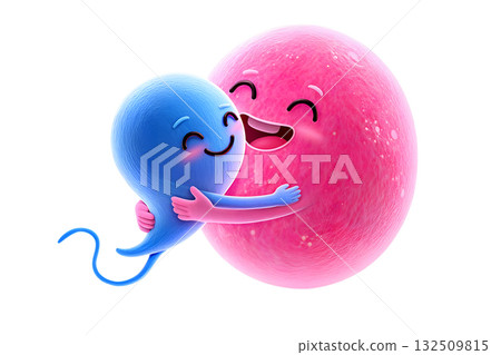 3d cartoon pink ovum and blue sperm cells hugging, depicting the beginning of life and the concept of fertilization, isolated on transparent background 132509815