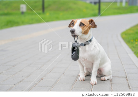 Playful Dog Holding Waste Bag on a Path.  132509988