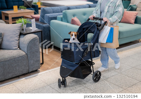 A Caucasian woman is shopping with her Jack Russell Terrier dog in a stroller in a shopping mall. A Caucasian woman is shopping with her Jack Russell Terrier dog in a stroller in a shopping mall. 132510194