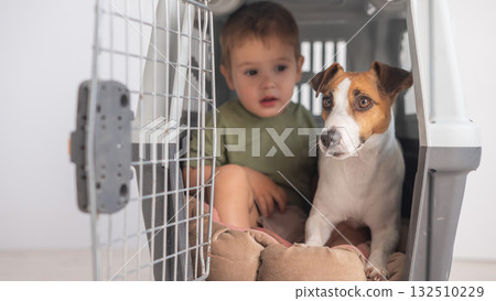 Little child in a cage with a Jack Russell Terrier dog.  132510229