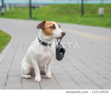 Playful Dog Holding Waste Bag on a Path.  132510438