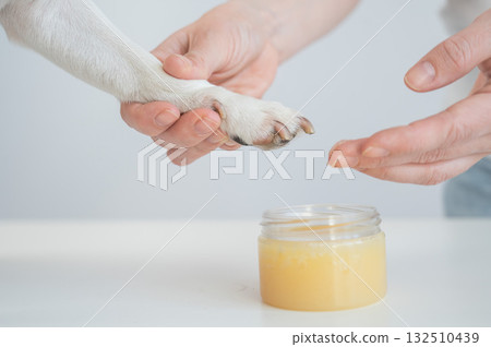 The owner puts wax on the dog's paws. The owner puts wax on the dog's paws. 132510439