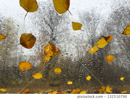 Autumn outside the window, wet glass and falling leaves 132510798