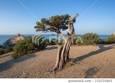 sea, rock, landscape 132510803