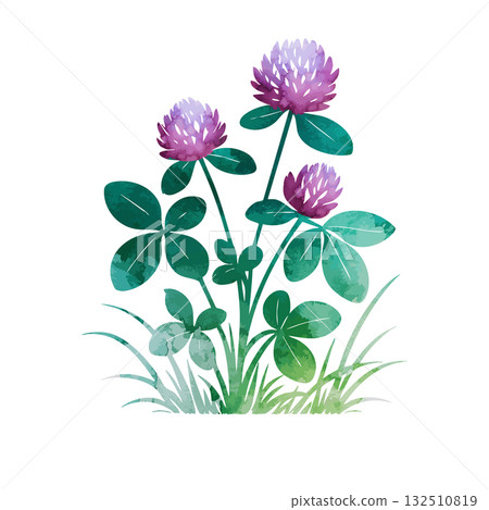 Watercolor clover object. Beautiful flower. Hand drawn. Not AI, vector illustration. 132510819