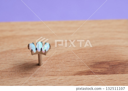 Beautiful piercing jewelry on wooden display. Macro shot. Selective focus. Beautiful piercing jewelry on wooden display. Macro shot. Selective focus. 132511107