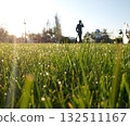 green grass with drops of morning dew in the rays of the rising sun 132511167