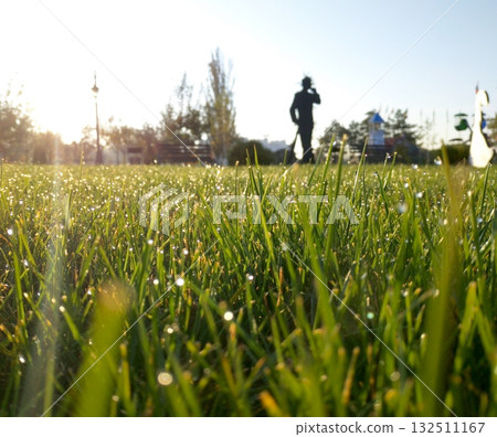 green grass with drops of morning dew in the rays of the rising sun green grass with drops of morning dew in the rays of the rising sun 132511167