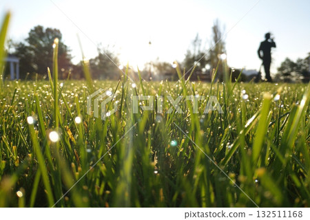 green grass with drops of morning dew in the rays of the rising sun 132511168