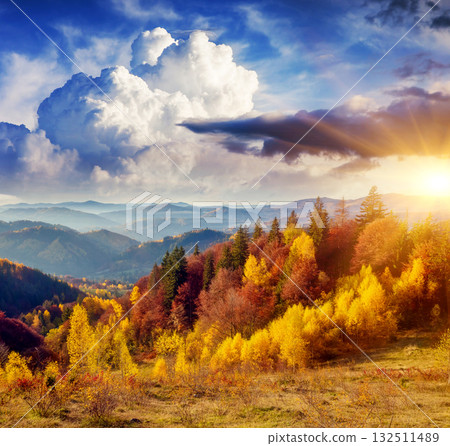 Majestic autumn landscape Majestic autumn landscape 132511489