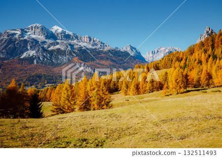 Great autumn scenery with magical yellow larches. Location place Dolomiti Alps, Italy, Europe. Great autumn scenery with magical yellow larches. Location place Dolomiti Alps, Italy, Europe. 132511493