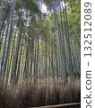  Bamboo grove 132512089