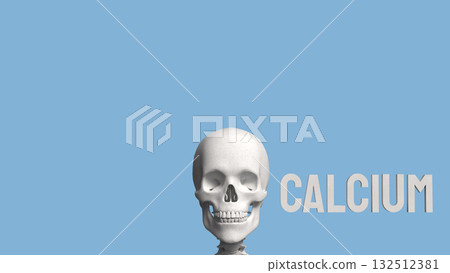 The Skeleton on blue Background for calcium concept 3d Rendering. The Skeleton on blue Background for calcium concept 3d Rendering. 132512381