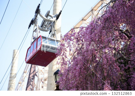 New York City's Skyline: Historic Red Gondolas and Spring Contrast 132512863