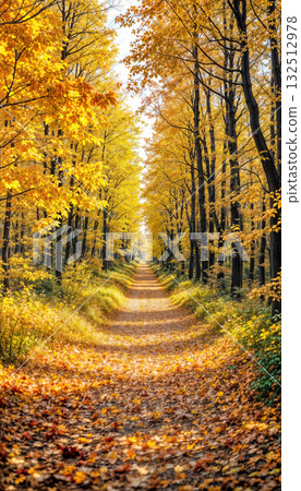 Pathway through autumn forest with yellow leaves Pathway through autumn forest with yellow leaves 132512978