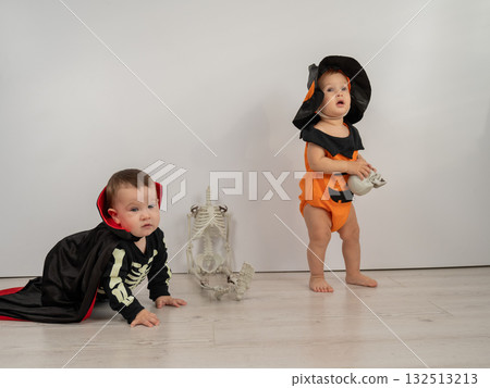 Cute kids celebrate halloween on white background. Two little boys in dracula costume and pumpkin. Cute kids celebrate halloween on white background. Two little boys in dracula costume and pumpkin. 132513213