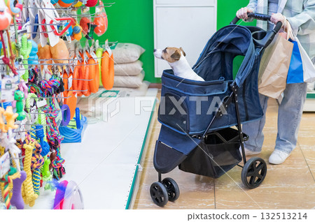 A woman is shopping at a pet store with her Jack Russell Terrier dog in a stroller. 132513214