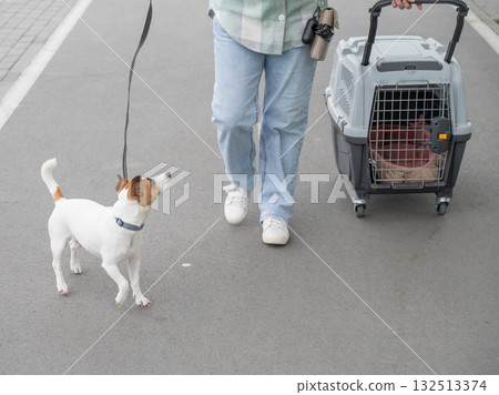 Owner walks Jack Russell Terrier and carries cage for safe travel. Owner walks Jack Russell Terrier and carries cage for safe travel. 132513374