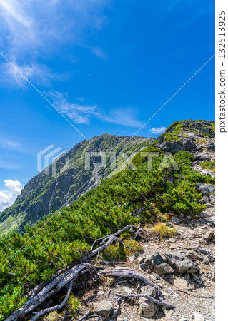 從北山的山肩望去的北山頂。攀登南阿爾卑斯山的北山 從北山的山肩望去的北山頂。攀登南阿爾卑斯山的北山 132513925