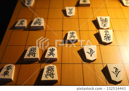 第73屆將棋王座錦標賽第一局比賽紀錄 132514441