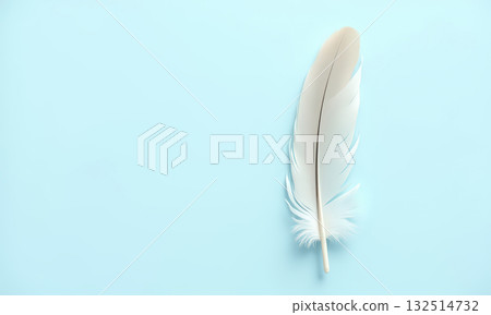 White feather on light blue background 132514732