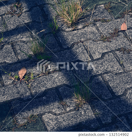 Shadowed cobblestones 132514902