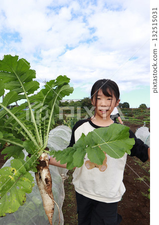 收割蘿蔔的女孩 132515031