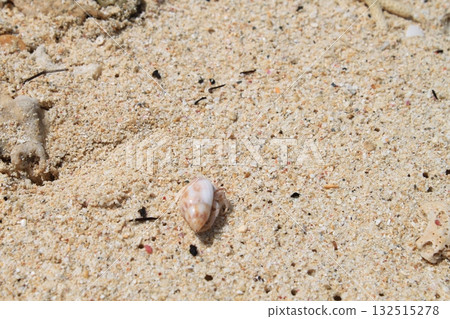 Hermit crab on the beach 132515278