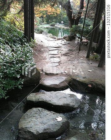 北海道有廣市真鍋花園的池塘和踏腳石，2025年10月下旬 132515316