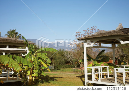 Gazebos with mountain and banana plants 132515426