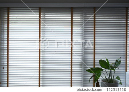 white window blinds and green leaf in home, object for decorate interior of house white window blinds and green leaf in home, object for decorate interior of house 132515538