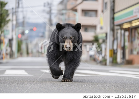 Wild Asiatic black bear spotted in urban area 132515617