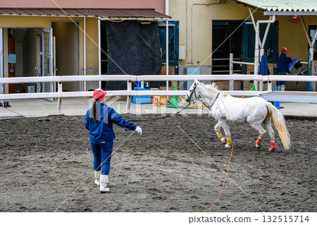 筱崎小馬樂園, 江戶川區, 東京, 小馬 筱崎小馬樂園, 江戶川區, 東京, 小馬 132515714