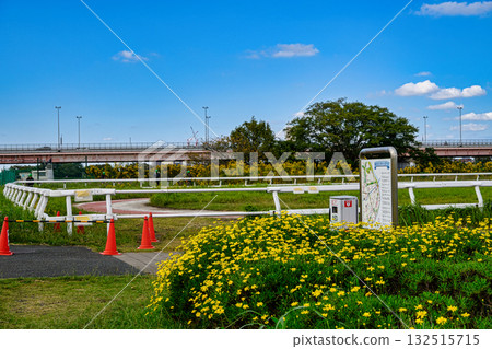 東京都江戶川區筱崎小馬樂園 東京都江戶川區筱崎小馬樂園 132515715