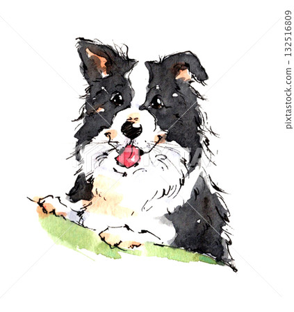 Hand-drawn cute dog illustration, black and white dog, watercolor touch 132516809