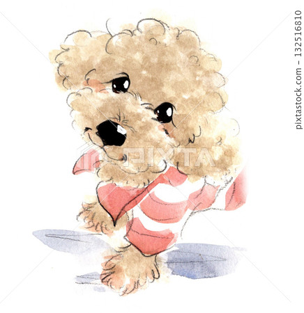 Hand-drawn watercolor illustration of a cute toy poodle in red 132516810