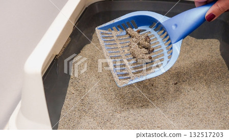 Cleaning Cat Litter Box with Scoop Pet Hygiene Maintenance for a Clean Home Environment 132517203