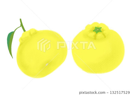 Two Yuzu illustrations with leaves, white background Two Yuzu illustrations with leaves, white background 132517529