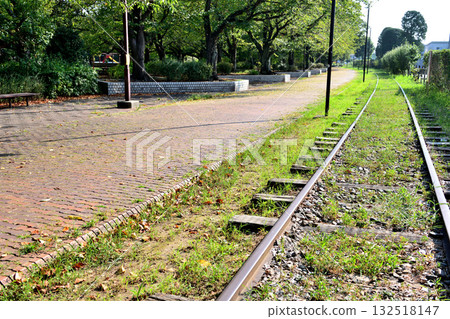 Remains of a siding line in the park 132518147