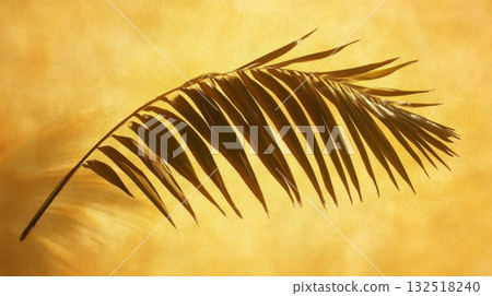 Golden Palm Frond on Warm Wall. 132518240