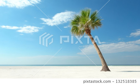 Single palm tree leaning over a beautiful white sand beach with calm turquoise ocean and blue sky with clouds creating a perfect idyllic tropical paradise 132518385