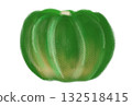 Illustration of a green-skinned pumpkin, whole, one, white background 132518415