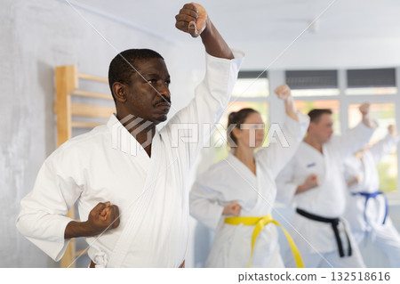Group of multiethnic people training karate techniques 132518616